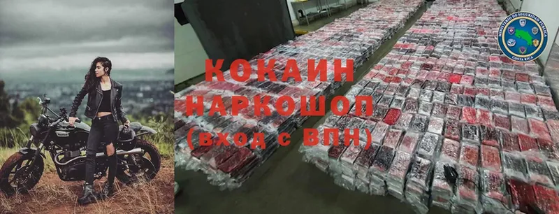 Cocaine FishScale  даркнет сайт  Красный Сулин 